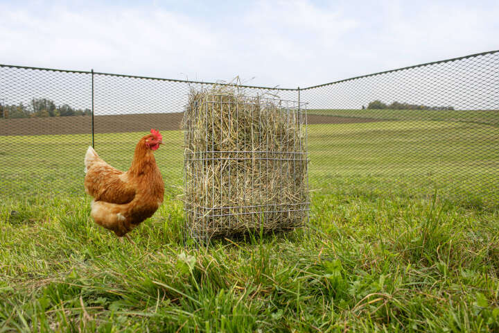 KERBL Kleintier-Raufe